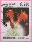 Sellos de Asia - Afganistn -  matucana multicolor
