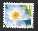 Stamps Poland -  4437 - Nenúfar