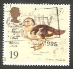 Sellos de Europa - Reino Unido -  1861 - Un pato