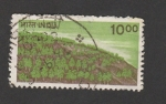 Stamps India -  Bosque