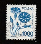Stamps Poland -  Aciano