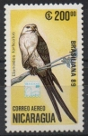 Stamps Nicaragua -  AVES.  ELANOIDES  FORFICATUS.