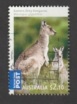 Stamps Australia -  Canguro gris del este