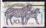 Stamps Czechoslovakia -  CEBRAS