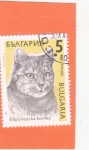 Stamps Bulgaria -  GATO DOMÉSTICO