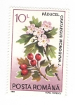 Stamps Romania -  Crataegus Monogyna