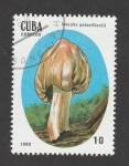 Stamps Cuba -  Inocybe patouillardii