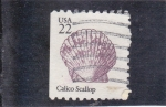 Stamps United States -  MOLUSCO 