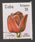 Sellos de America - Cuba -  El tulipán negro