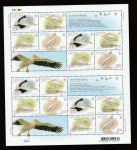 Stamps Ukraine -  Pelecanus onocrotalus