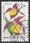 Stamps Hungary -  3130 - Orquídea