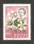 Sellos de Europa - Hungr�a -  1880 - 150 anivº de la muerte del botánico Pal Kitaibel