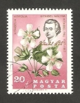 Sellos de Europa - Hungra -  1880 - 150 anivº de la muerte del botánico Pal Kitaibel