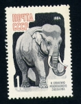 Stamps : Europe : Russia :  Elefante asiatico