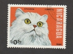 Stamps Nicaragua -  Gato raza Chinchilla