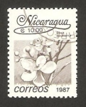 Sellos del Mundo : America : Nicaragua : 1450 - flor bixa orellana