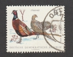 Stamps Germany -  Faisanes