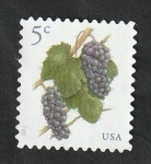 Stamps United States -  4866 - Racimo