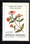 Stamps Argentina -  FLORES- CHINITA DEL CAMPO 