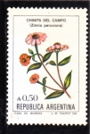 Sellos de America - Argentina -  FLORES- CHINITA DEL CAMPO 