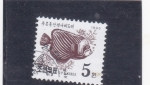 Stamps North Korea -  Emperor Angelfish