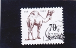 Stamps North Korea -  DROMEDARIO 