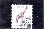 Stamps North Korea -  JIRAFA 