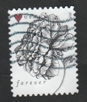 Stamps United States -  4779 - Flor rosa