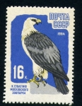 Stamps Europe - Russia -  Aguila Calva