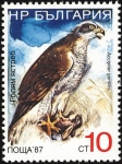 Sellos de Europa - Bulgaria -  Aves, Azor norteño (Accipiter gentilis)