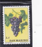 Stamps San Marino -  RACIMO DE UVA