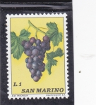 Sellos de Europa - San Marino -  RACIMO DE UVA