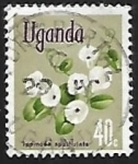 Sellos de Africa - Uganda -  Ipomoea spathulata