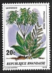 Stamps Rwanda -  Plantas africanas
