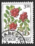 Sellos del Mundo : Europa : Noruega : Vaccinium vitis-idaea