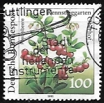 Stamps Germany -  Vaccinium vitis-idaea