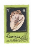 Sellos de America - Dominica -  Caracola