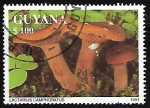 Sellos del Mundo : America : Guyana : Setas - Lactarius Camphoratus