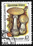 Stamps Russia -  Setas - Amanita pantherina