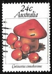 Stamps Australia -  Setas - Cortinarius cinnabarinus