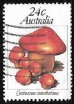 Sellos de Oceania - Australia -  Setas - Cortinarius cinnabarinus
