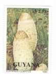 Sellos de America - Guyana -  Setas.Coprinus comatus