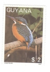 Stamps Guyana -  Martín pescador