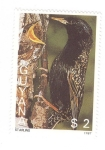 Sellos de America - Guyana -  Estúrnido
