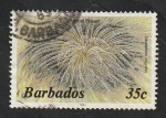 Stamps America - Barbados -  615 - Fauna marina