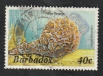 Stamps America - Barbados -  616 - Fauna marina