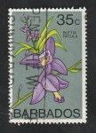 Stamps America - Barbados -  383 - Flor bletia patula