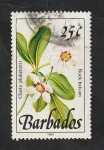 Stamps Barbados -  756 - Flor salvaje, clusia plukenetii