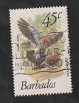 Stamps America - Barbados -  482 - Ave, zenaida aurita