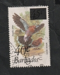 Stamps Barbados -  534 - Ave, zenaida aurita